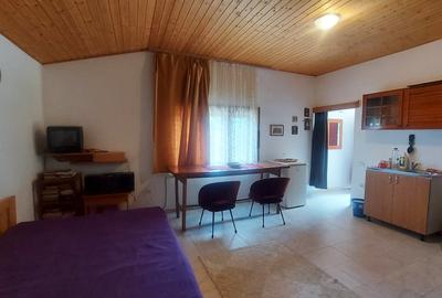 Vanzare 3 case moderne + 3 anexe si 2000 mp teren gradina, pomi in Tuzla la mare - 31