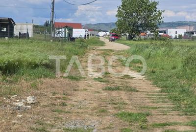 Teren intravilan de vanzare in Sebes drumul Petrestiului - 3