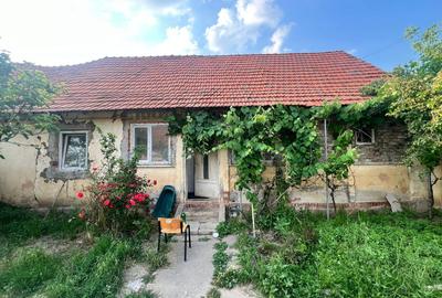 Casă individuală cu 2 camere în Central