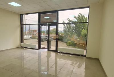 Spatiu comercial - 133mp - Turnisor - 13