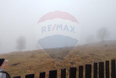 Teren INTRAVILAN 23.238m.p. Dorna-Arini / Cozănești - 4