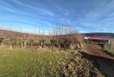 Teren intravilan 1080 mp in Rasinari - 7
