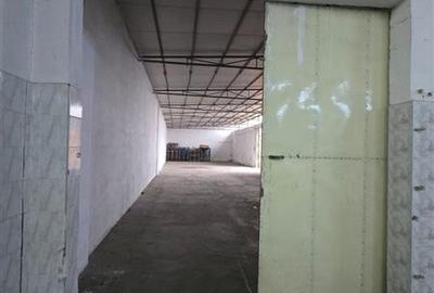 Ivestitie spatiu si platforma industriala - 10