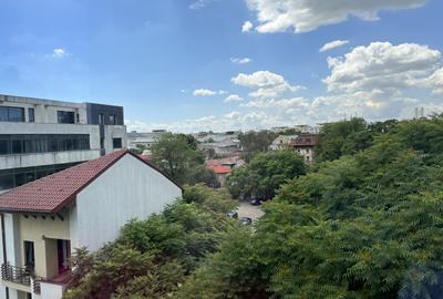 Apartament decomandat de 2 camere, bloc 2017, Dr. Iacob Felix - Victoriei! - 16