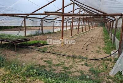 Loturi teren intravilan în Dăești, cu utilități complete, solar și garaj - 7
