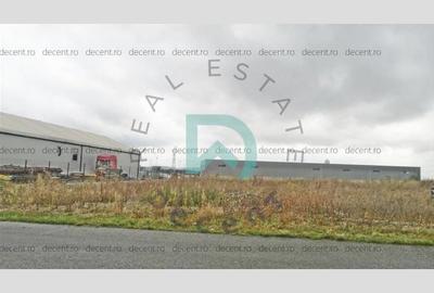 Teren Construcții intravilan de 7500 mp, în Prejmer