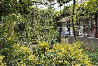 Apartament 2 camere in vila cu curte Parcul Circului - 12