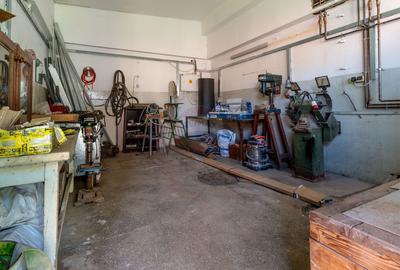 Proprietate speciala, spatiu comercial de 460mp / Pastravarie - 10