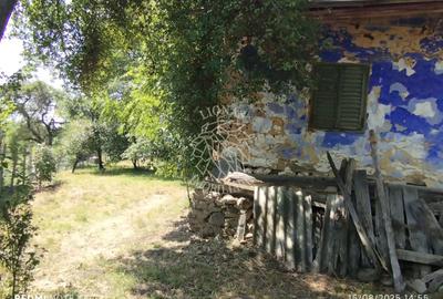 Teren intravilan 2828 mp+autorizatie casa-anexe-livada-Dorolea - 7