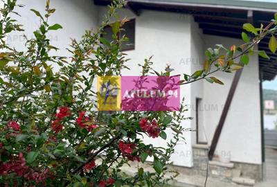 Vilă de vânzare în Comarnic - 48