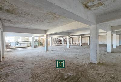 Proprietate multifunctionala - teren generos, cladire si hala in Lugoj - 19