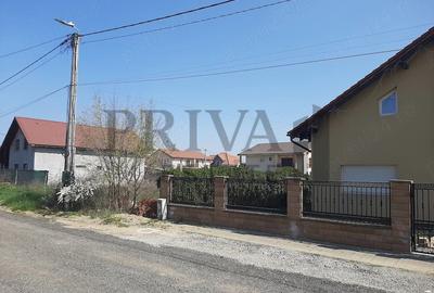 Teren intravilan, 601 mp, fs 20 ml, Mosnita Noua - 1