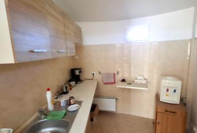 Proprietate industrială cu hală metalică, birouri și teren – Golești - 14