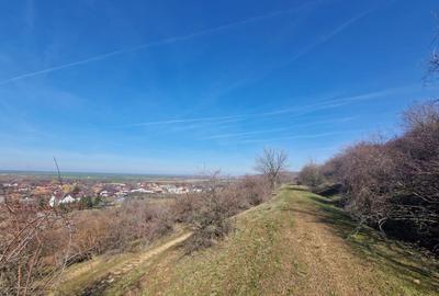 Teren extravilan,  zona si priveliste superba, Cuvin - 4