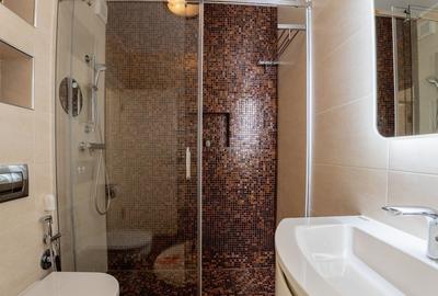 Apartament 3 camere mobilat si utilat modern intrare Racadau - 12