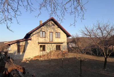 Vilă în Pătrăuți + 8400mp teren - 7