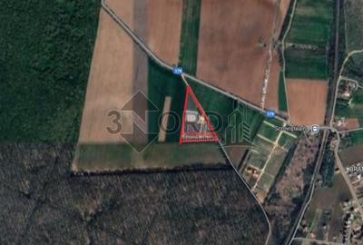 TEREN INTRAVILAN 17.714 MP – SCROVIȘTEA / BĂLTENI – LÂNGĂ PĂDURE - 2