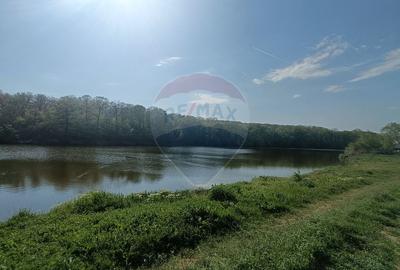 Teren Construcții intravilan de 3872 mp, în Brănești