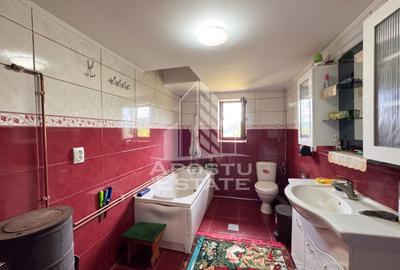 Casa la munte, la cheie, priveliste panoramica, in sat Ret, Hunedoara - 17