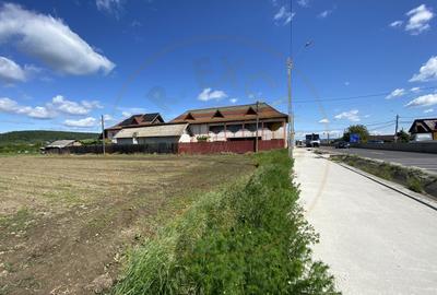 Teren intravilan 7.295 mp – Argeselu, Maracineni, AG - 5