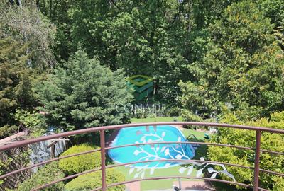 Exclusivitate / Iancu Nicolae-Pipera, vila cu piscina, langa padure - 1