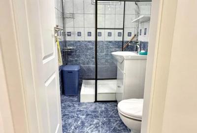 Apartament 2 camere | Renovat complet | Parc bazilescu - 9