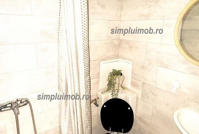 Ultracentral, cochetă, mobilată și utilată, Unirii Piața Alba Iulia - 7