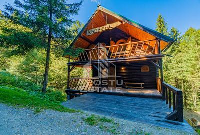 Pensiune, casa de vacanta, 6 camere, statiunea Rausor din Hunedoara - 6