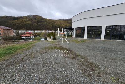 EXCLUSIVITATE! Teren de vanzare, 5.000 mp+ Restaurant mobilat si utilat! - 1