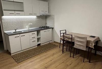 GARSONIERA - RAHOVA, PET-FRIENDLY, MOBILAT/UTILAT MODERN, CURTE - 4