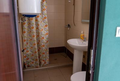 Spațiu comercial cu teren 1.860 mp și vad comercial format-Jiblea Veche, Călimăn - 11