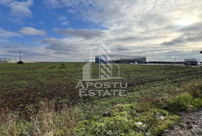 Teren agricol extravilan de 30400 mp, în Giarmata