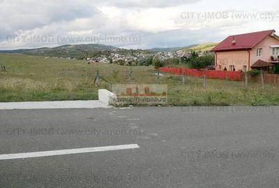 Teren Construcții intravilan de 500 mp, în Ocnița