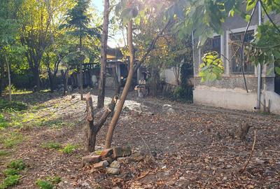 Casa Ploiesti-Toma Ionescu - 1