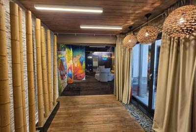 Spațiu de Birouri Arc Triumf – 310 m² - 26
