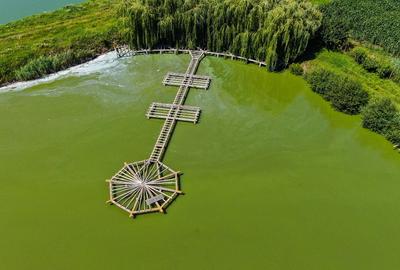 Proprietate spectaculoasă de 31.500 mp, cu iazuri și case locuibile - 7
