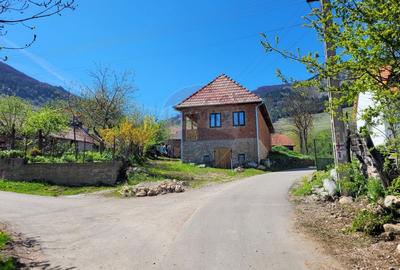 Teren intravilan 1.271 mp – Izvoarele, jud. Alba - 9