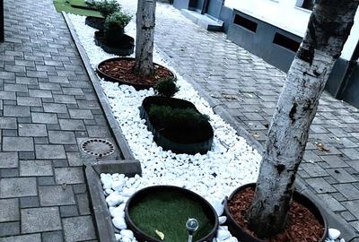 Apartament 4 camere Calea Calarasi / Hala Traian in vila - 22