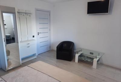 De vănzare casă - pensiune în stațiunea Călimănești Caciulata - 5