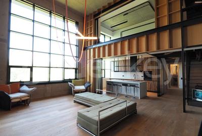 Apartament Loft spatios cu 4 camere | terasa 32mp - 1