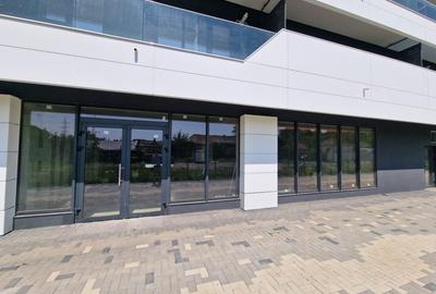ULTIMUL Spatiu Comercial Himson 179 mp - INTABULAT - 4