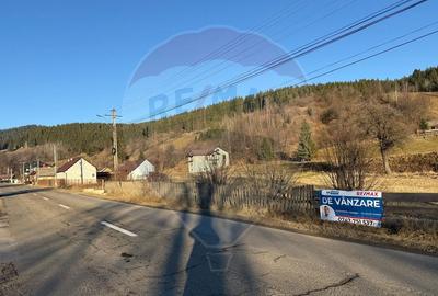 Teren de vanzare  Vatra Moldovitei BUCOVINA - 19