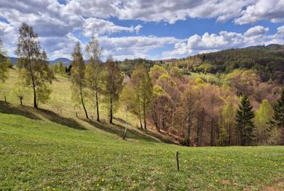 Teren de poveste, intru-un sat de poveste Pestera/Moeciu/Brasov - 9