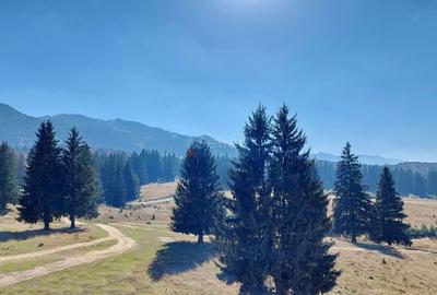 APARTAMENT DE VACANTA  - POIANA BRASOV - 12