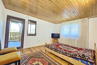 Vila superba de vanzare in Vintila Voda, Buzau D+P+1 si anexe - 32