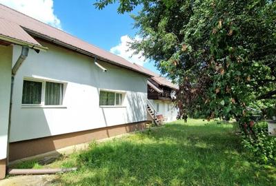 Balilesti - Stradal, casa spatioasa, 4600 mp teren intravilan - curte spatioasa - 4