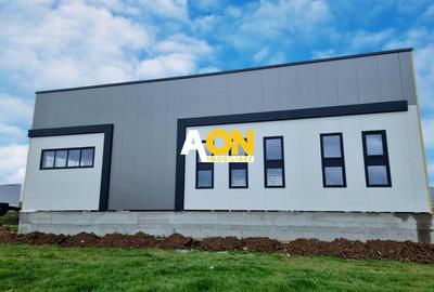 Hala industriala, 1300 mp construiti, 3000 mp teren, toate utilitatile - 1