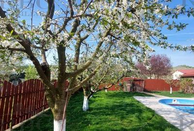 Casa cu piscina si teren 1400 mp in Chinteni - 26
