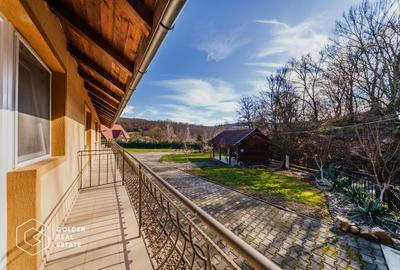 Proprietate pretabila pentru afacere, Cladova - 32