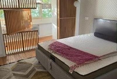 3 camere, etaj 1, Renovat Integral, Mobilat si Utilat - Buzaului - 5
